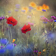 Monet's Garden I Poster