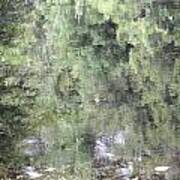 Monet's Pond Poster
