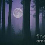 Moon And Fog In A Forest Poster