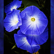Moonglow On Blue Poster