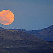 Moonrise Over The Desert Poster