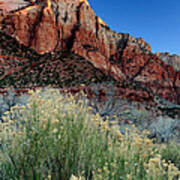 Morning At Zion National Park Poster