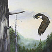 Morning Flight - Bald Eagle Poster