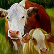 Mother Cow And Baby Calf Poster