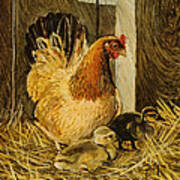 Mother Hen Poster