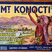 Mount Konocti Crate Label Poster
