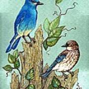 Mountain Bluebirds Poster