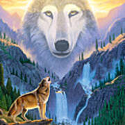 Mountain Wolf Poster