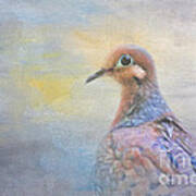 Mourning Dove Art Poster