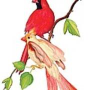 Mr. And Mrs. Cardinal Poster
