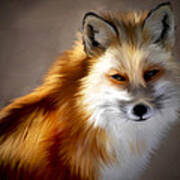 Mr. Fox Poster