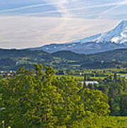 Mt Hood And Hood River Valley Poster