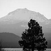 Mt. Lassen With Tree Poster