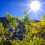 Mt. Rose Fall Color Sunburst Poster