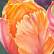 Multicolored Tulip - Transparent Watercolor Poster