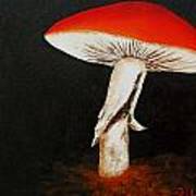 Mushroom Poster