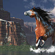 Mustang Canyon Poster