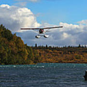 Naknek River And Beaver Airplane Alaska Poster