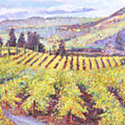 Napa Valley Vineyards Poster
