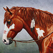 Native American War Horse Poster