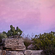 New Mexico Sunset With Cacti Poster