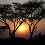 Ngorongoro Sunset Ii Poster