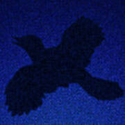 Night Bird Poster