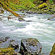 Nooksack River Rapids Washington State Poster