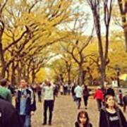 Ok, So Fall In Central Park Is Pretty Poster
