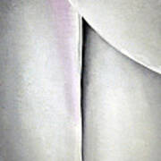 O'keeffe's Line And Curve Poster