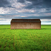 Old Farm Shed In Green Wheat Field Poster