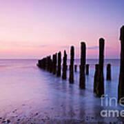 Old Sea Defence Posts At Sunrise Poster