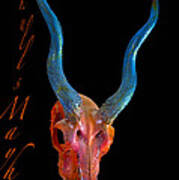 Orange And Blue Illuminating Blackbuck Skull Poster