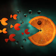 Orange Fish Poster