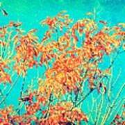 Orange Leaves And Turquoise Sky Poster
