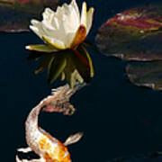 Oriental Koi Fish And Water Lily Flower Poster