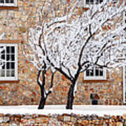 Ornate Historic Stone House In Winter Poster