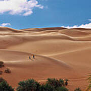 Over The Dunes Poster