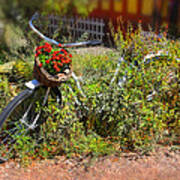 Overgrown Bicycle With Flowers Poster