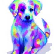 Painted Pup Poster