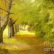 Painterly Pathway Poster