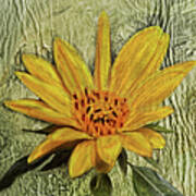 Painterly Sunflower Poster