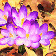 Paintography Of Spring Crocus Poster