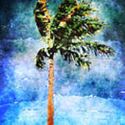 Palm Tree In A Tropical Storm Poster