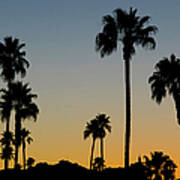 Palm Trees At Sunset Poster
