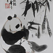 Panda And Bamboo Poster