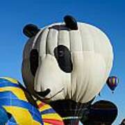 Panda Balloon Poster