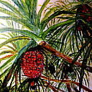Pandanus Palm Fruit Poster