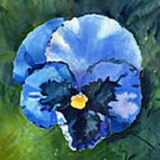 Pansy Blue Poster