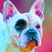 Vibrant French Bull Dog Portrait Poster by Michelle Wrighton